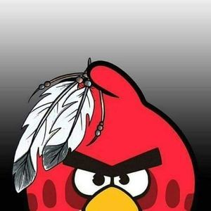 Meet your Posher, Bruce